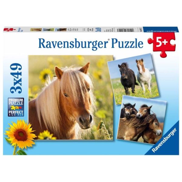 Ravensburger Puzzle dla dzieci 2D: Konie 3x49 elementów 8011
