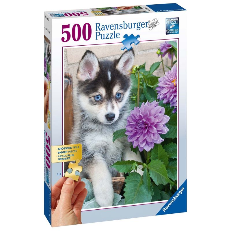 Ravensburger Puzzle 2D dla seniorów: Śliczny Husky 500 elementów 13682