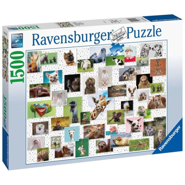 Ravensburger Puzzle 2D 1500 elementów: Zabawne zwierzaki 16711