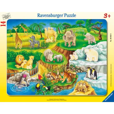 Ravensburger Puzzle Wizyta w ZOO 06052