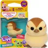 Little Live Pets NeeDees Interaktywne Zwierzątko Kaczuszka Dandee 26653