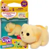 Little Live Pets NeeDees Interaktywne Zwierzątko Piesek Woofee 26653