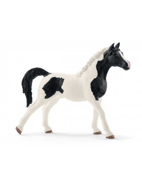 Schleich 13840 ogier rasy Pintabian
