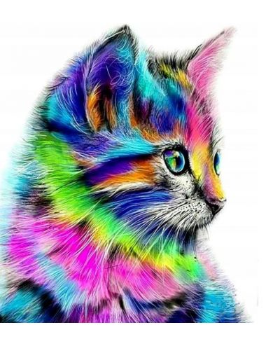 Mozaika Diamentowa 5D Haft Malowanie Kot Kolorowy Tęcza